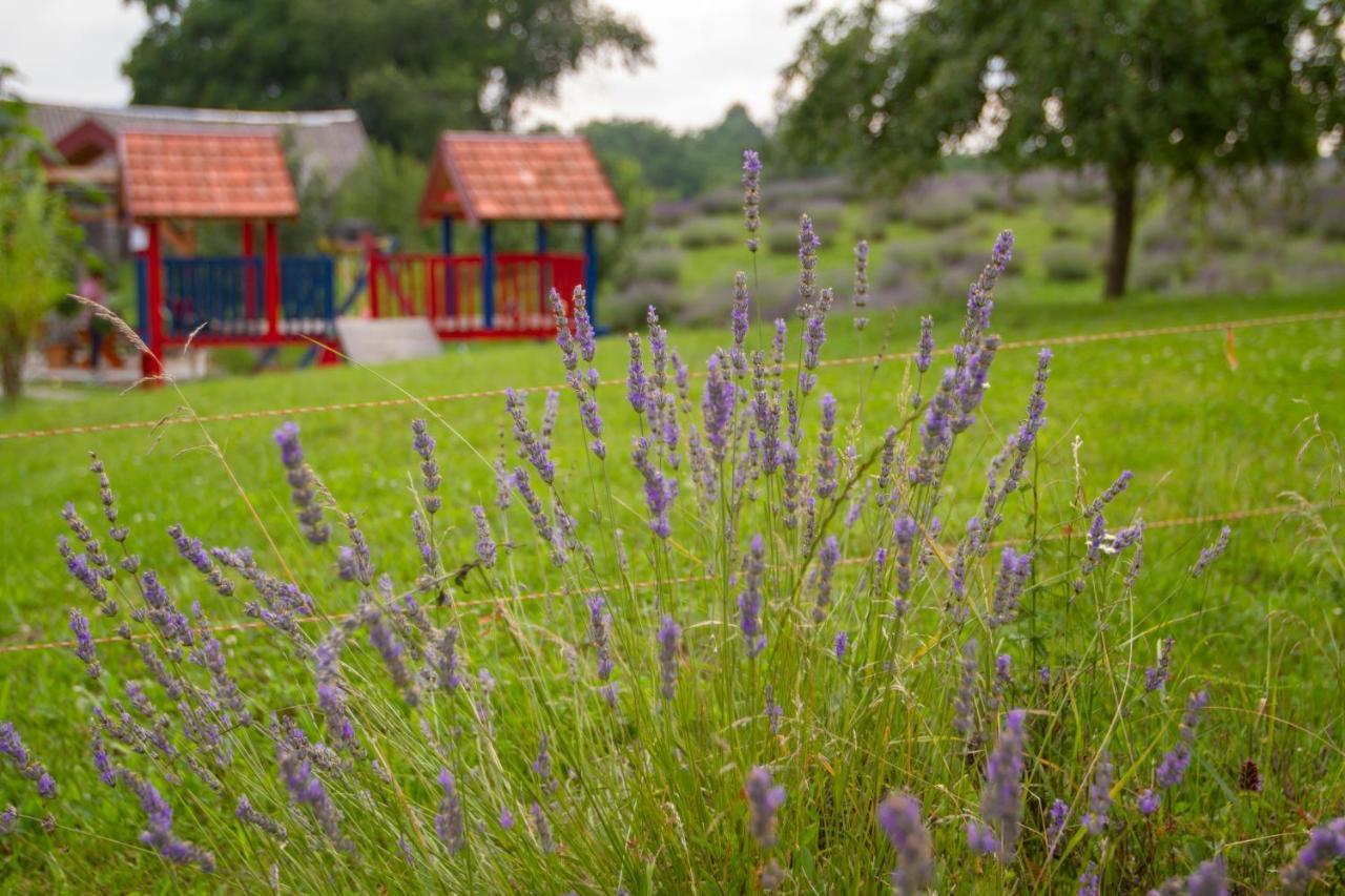 Lavanda Farm Apartmani 라코비카 외부 사진