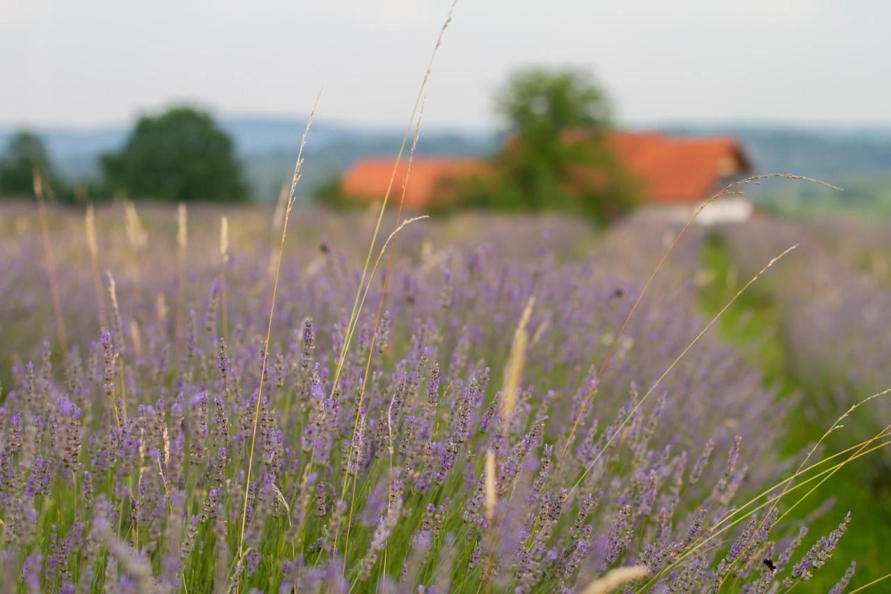 Lavanda Farm Apartmani 라코비카 외부 사진
